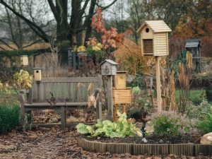 How to create a wildlife-friendly garden